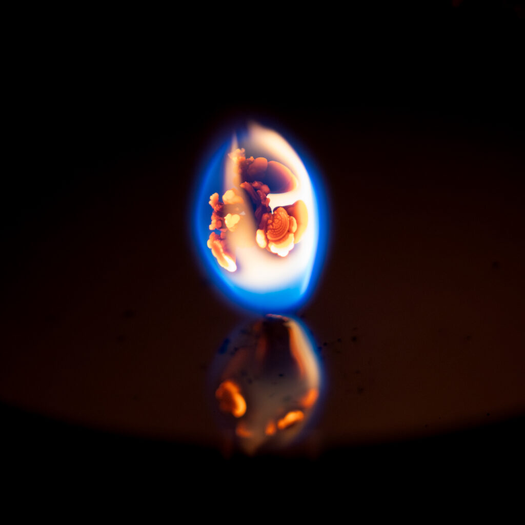 featured image 1774170025