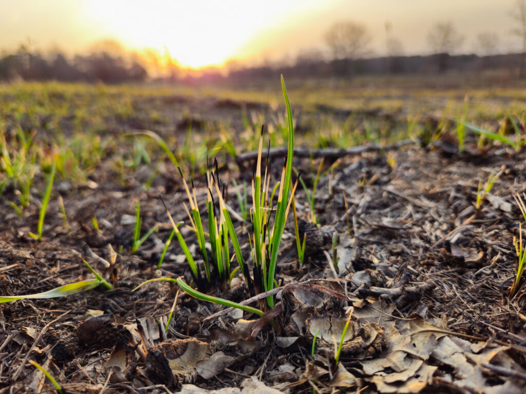 featured image 1777104046