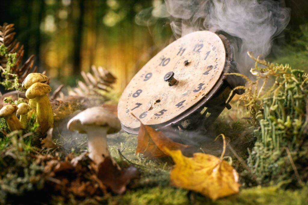 featured image 1778454151